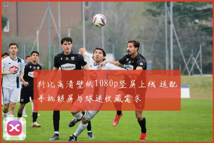 科比高清壁纸1080p竖屏上线 适配手机锁屏与球迷收藏需求